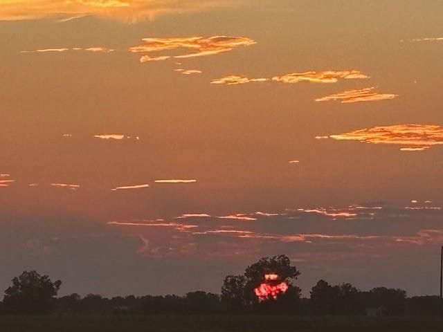 12709 Fm 1155 E, Brenham, TX 77833