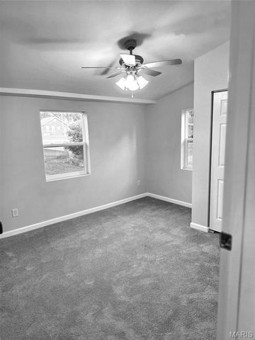 419 Little Broadway Street, Mehlville, MO 63125