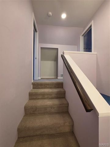 419 Little Broadway Street, Mehlville, MO 63125