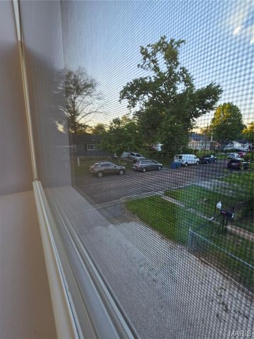 419 Little Broadway Street, Mehlville, MO 63125