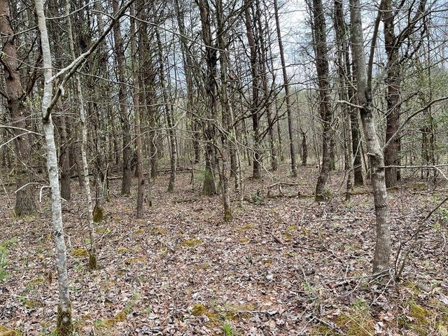 00 Laurel Branch Road, Hayesville, NC 28906