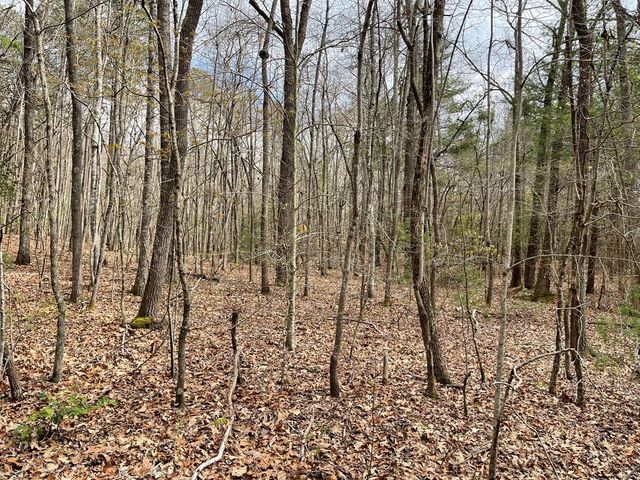 00 Laurel Branch Road, Hayesville, NC 28906