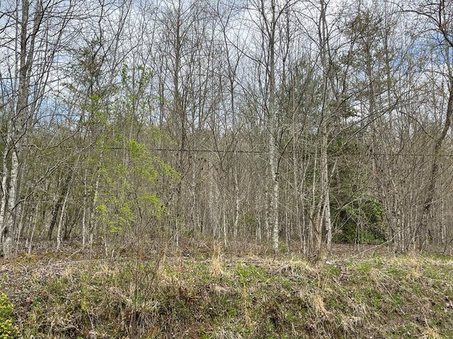 00 Laurel Branch Road, Hayesville, NC 28906