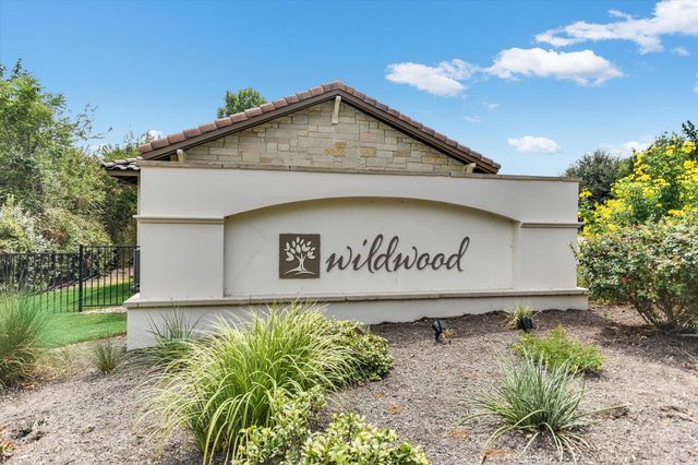 13504 Golden Wave LOOP 51, Bee Cave, TX 78738