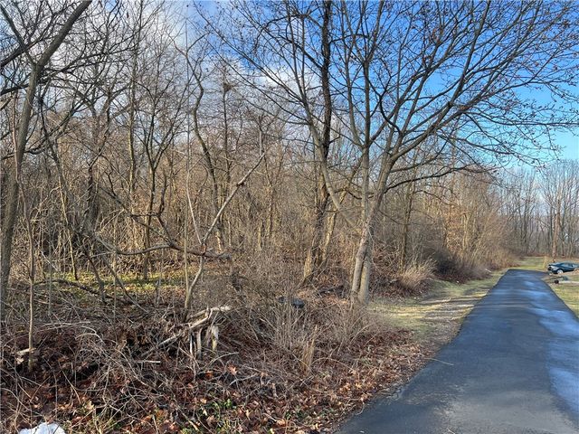 0 Spruce Dr, Center Twp - Bea, PA 15061