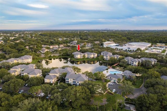 4107 CHATHAM OAK COURT 313, Tampa, FL 33624