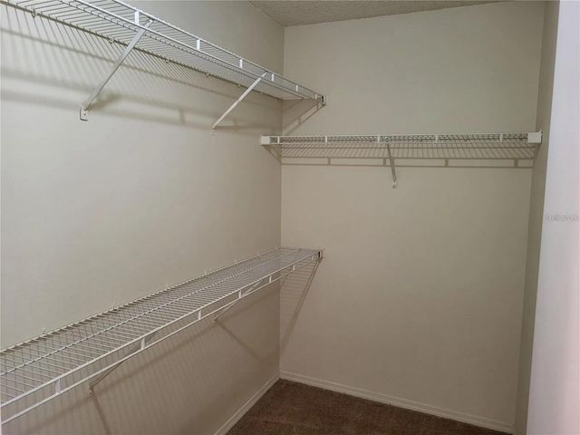 4107 CHATHAM OAK COURT 313, Tampa, FL 33624