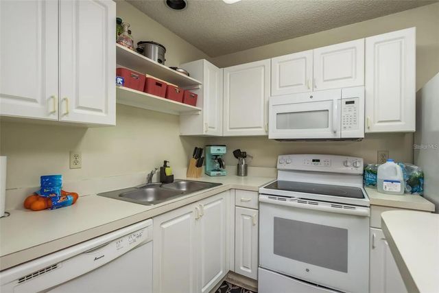 4107 CHATHAM OAK COURT 313, Tampa, FL 33624