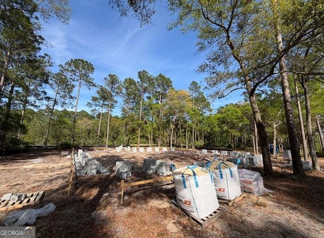1499 Sapelo Park Drive NE, Townsend, GA 31331