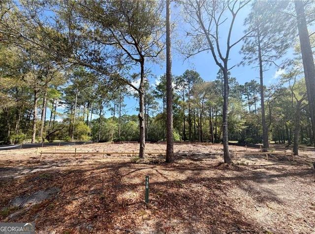 1499 Sapelo Park Drive NE, Townsend, GA 31331
