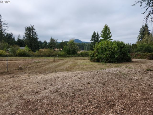 81029 LOST CREEK Rd, Dexter, OR 97431