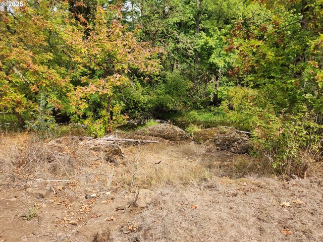 81029 LOST CREEK Rd, Dexter, OR 97431