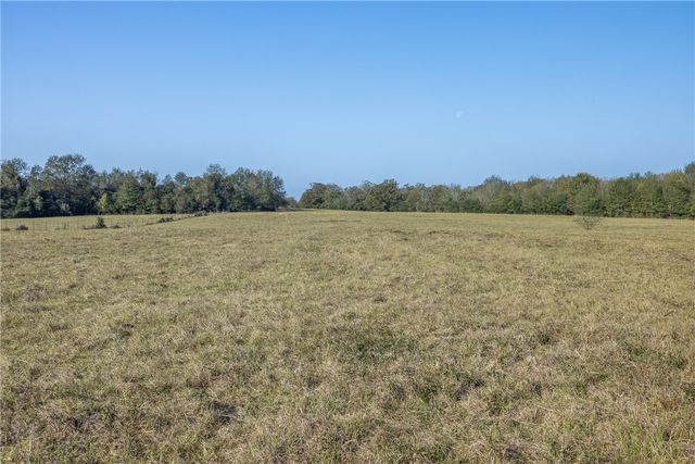 12038 County Road 112, Iola, TX 77861