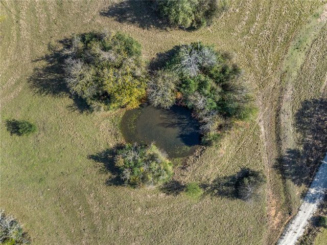 12038 County Road 112, Iola, TX 77861