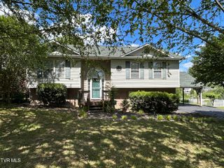115 Butterfly Court, Limestone, TN 37681