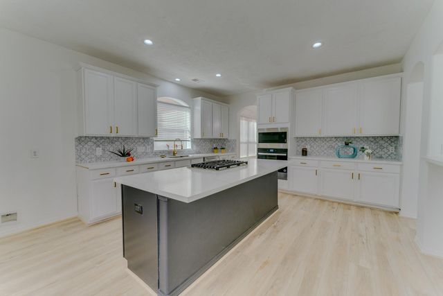 16411 Jadestone Terrace Lane, Houston, TX 77044