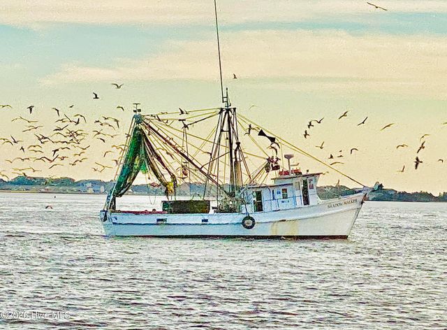 5207 White Ibis Court, Southport, NC 28461