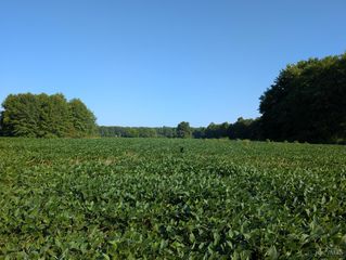 20 St Rt 774, Tate Twp, OH 45130