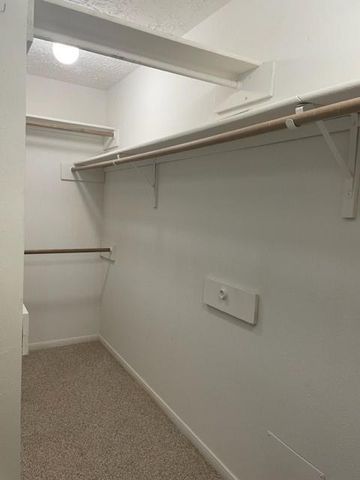 51 Rush Haven Drive, The Woodlands, TX 77381