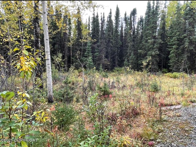 34395 Needles Avenue, Soldotna, AK 99669