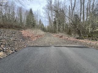 318 MARTINS BLUFF Rd, Kalama, WA 98625