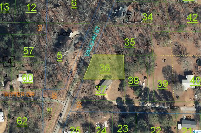 0 VAUGHN DRIVE, Weaver, AL 36277