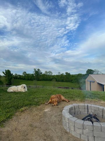 6888 Bybee Road, Winchester, KY 40391