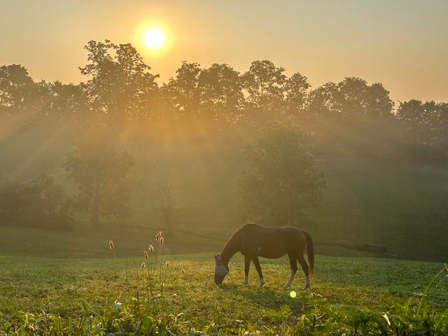 6888 Bybee Road, Winchester, KY 40391