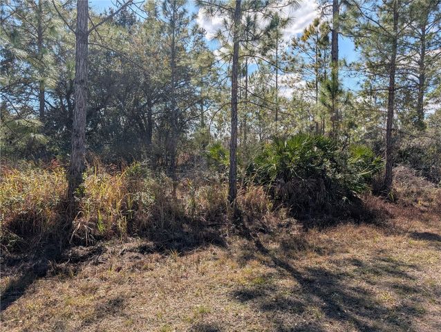 711 AZALEA DRIVE, Indian Lake Estates, FL 33855