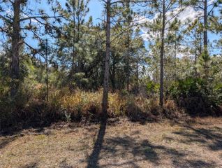 711 AZALEA DRIVE, Indian Lake Estates, FL 33855