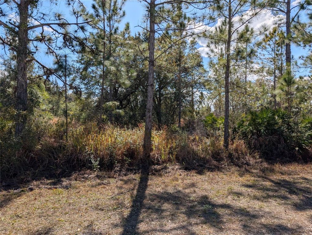 711 AZALEA DRIVE, Indian Lake Estates, FL 33855