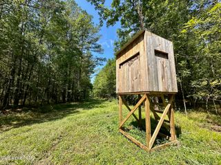 0 Forest Service Road 562, Pulaski, MS 39152