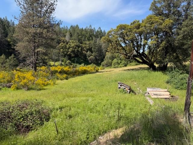 22460 Canyon Way, Colfax, CA 95713