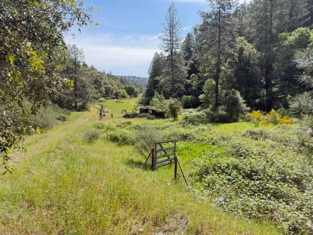 22460 Canyon Way, Colfax, CA 95713