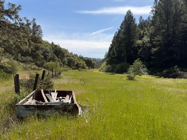 22460 Canyon Way, Colfax, CA 95713