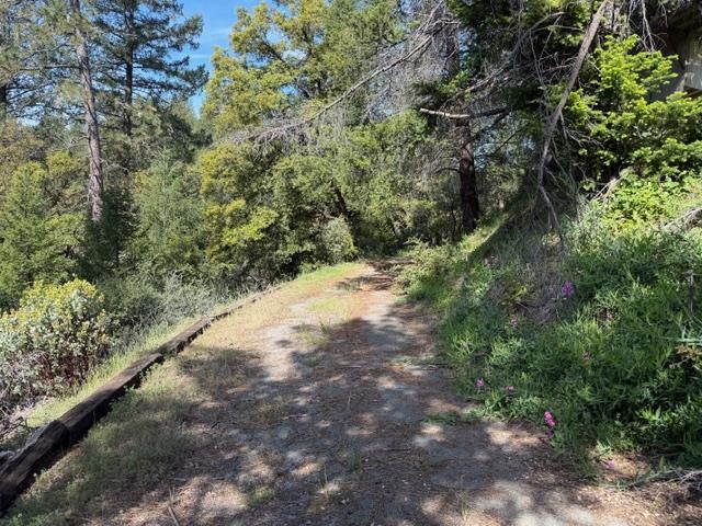 22460 Canyon Way, Colfax, CA 95713