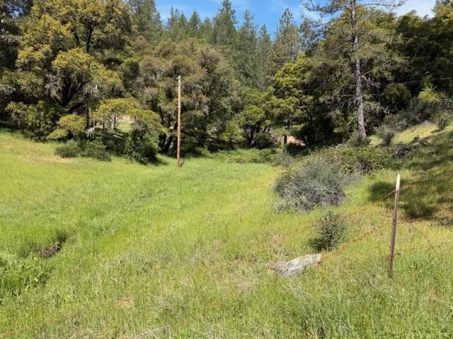 22460 Canyon Way, Colfax, CA 95713
