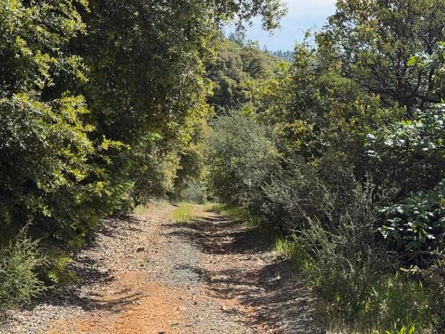 22460 Canyon Way, Colfax, CA 95713