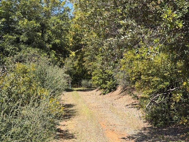 22460 Canyon Way, Colfax, CA 95713