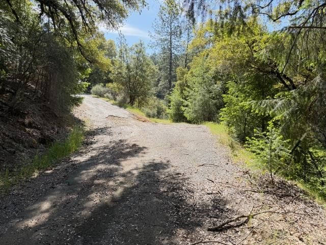 22460 Canyon Way, Colfax, CA 95713