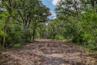 Tract 1 Sun Oil Road, Brenham, TX 77833