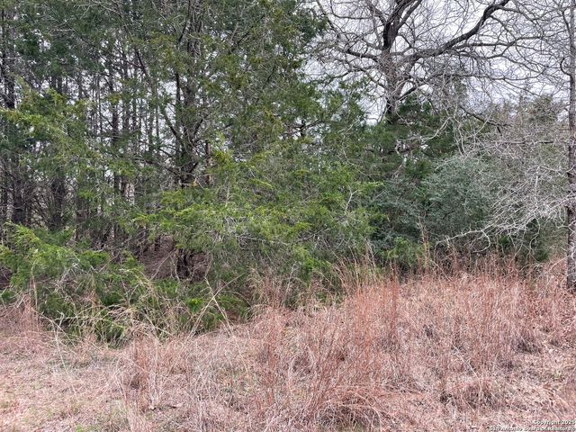 00 Mule Creek Rd, Harwood, TX 78632