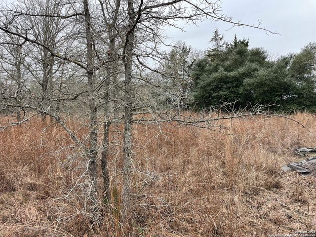 00 Mule Creek Rd, Harwood, TX 78632