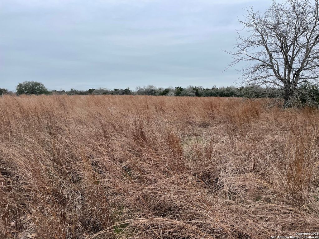 00 Mule Creek Rd, Harwood, TX 78632