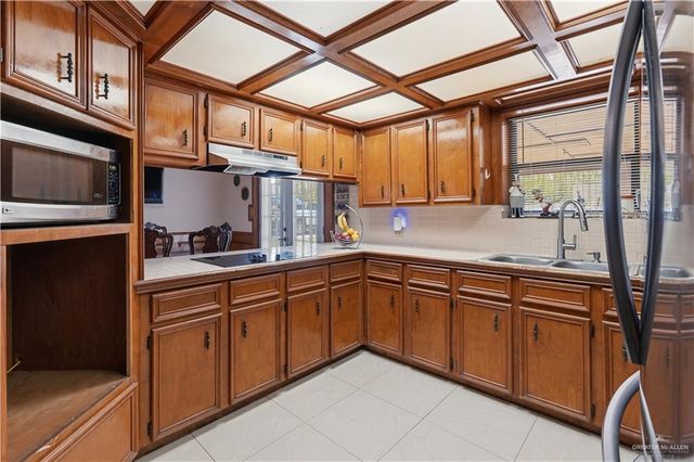 509 E Palma Vista E Drive, Palmview, TX 78572