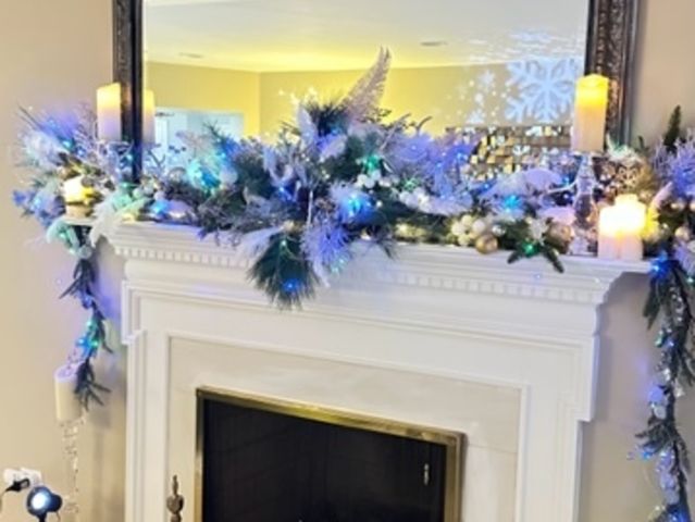 225 Lake Boulevard 517, Buffalo Grove, IL 60089