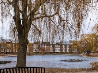 225 Lake Boulevard 517, Buffalo Grove, IL 60089