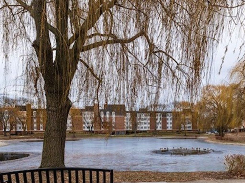 225 Lake Boulevard 517, Buffalo Grove, IL 60089