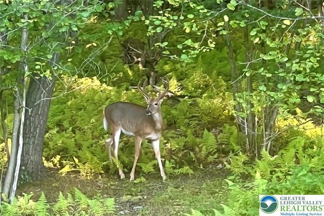 208 Bryan Drive, Polk Twp, PA 18333