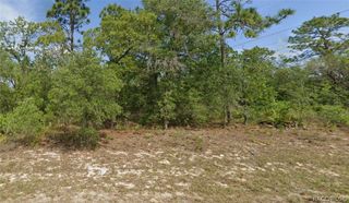 6791 N Darlington Drive, Citrus Springs, FL 34434